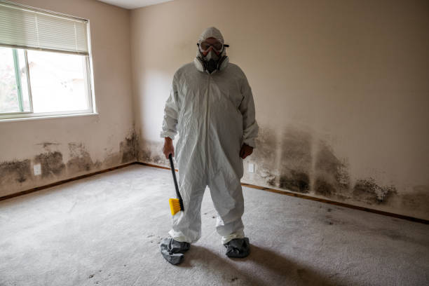 Reliable Puyallup, WA Mold Remediation Solutions
